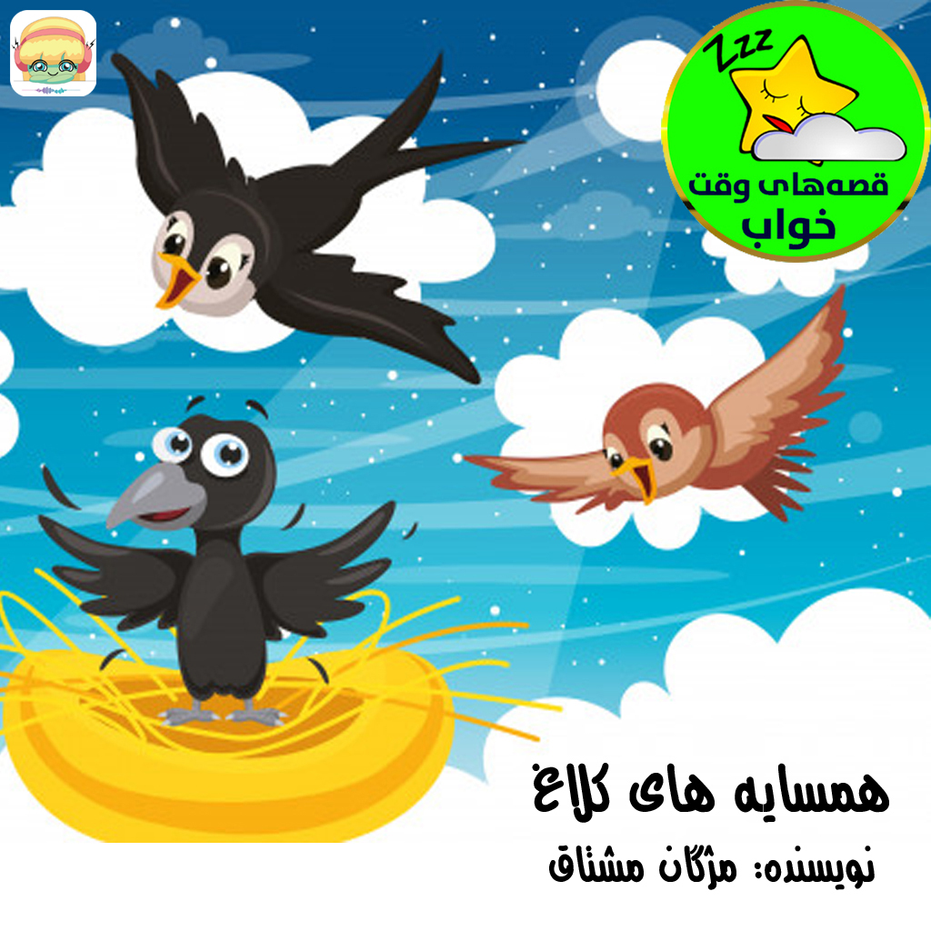 همسایه های کلاغ