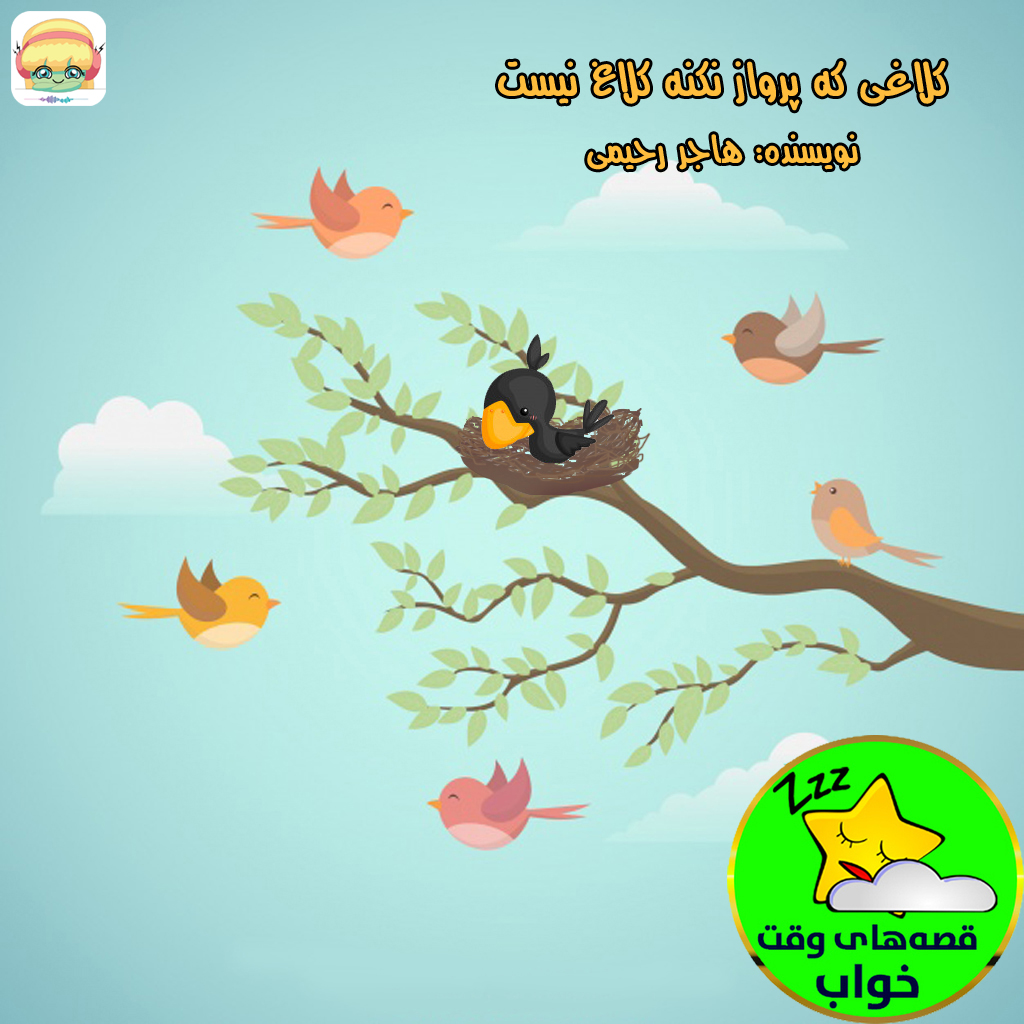 کلاغی که پرواز نکنه کلاغ نیست